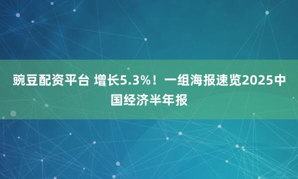 豌豆配资平台 增长5.3%！一组海报速览2025中国经济半年报