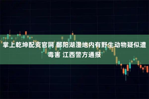 掌上乾坤配资官网 鄱阳湖湿地内有野生动物疑似遭毒害 江西警方通报
