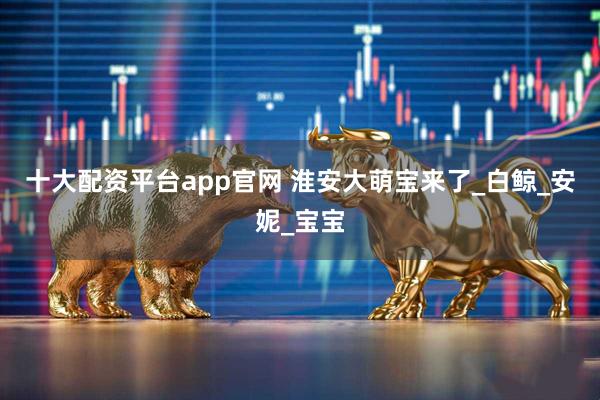 十大配资平台app官网 淮安大萌宝来了_白鲸_安妮_宝宝