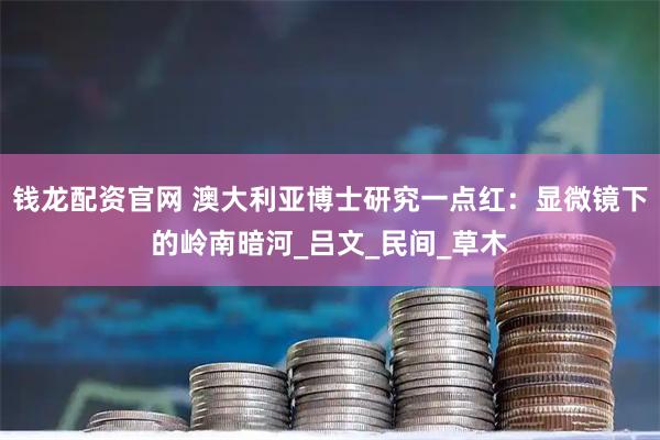 钱龙配资官网 澳大利亚博士研究一点红：显微镜下的岭南暗河_吕文_民间_草木