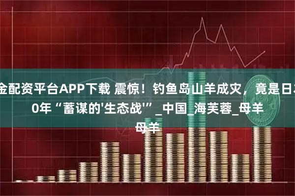 黄金配资平台APP下载 震惊！钓鱼岛山羊成灾，竟是日本40年“蓄谋的'生态战'”_中国_海芙蓉_母羊